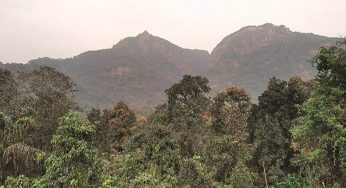 Delhi govt grants Reserved Forest status to 673 ha of Central Ridge