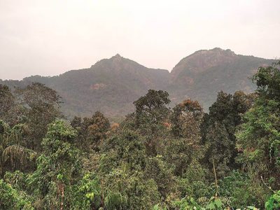 Delhi govt grants Reserved Forest status to 673 ha of Central Ridge