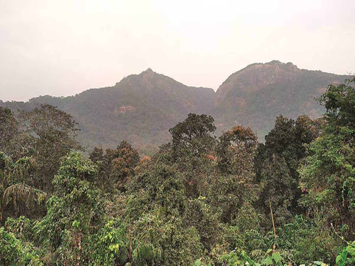 Delhi govt grants Reserved Forest status to 673 ha of Central Ridge