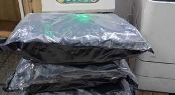 Rs 4 crore worth marijuana concealed in trolley bag seized at Delhi airport; two held