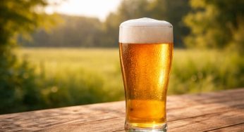 Beer sales up 10% in Delhi this May as popular brands regain shelf space: Excise data