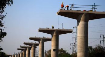 Delhi: DMRC to cut 527 trees, transplant nearly 3,000 for Rithala-Kundli metro corridor