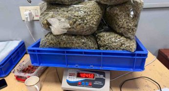 Hydroponic weed worth Rs 4.83 crore seized at Delhi airport; passenger arrested