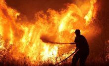 Building partially collapses during factory fire in Delhi's Mayapuri, none injured