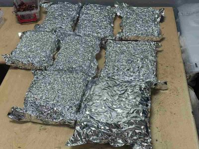 Customs seize marijuana worth Rs 2.43 cr at Delhi airport, passenger held