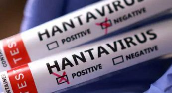 Hantavirus reminder for Delhi: the danger is in the dust