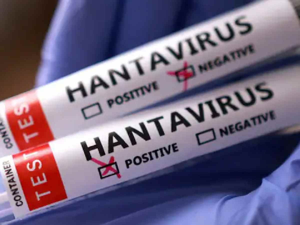 Hantavirus reminder for Delhi: the danger is in the dust