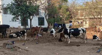 Delhi: Unchecked growth puts Lal Dora villages at risk