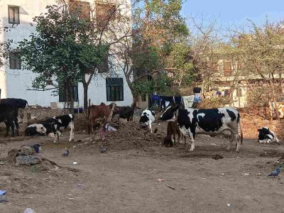 Delhi: Unchecked growth puts Lal Dora villages at risk