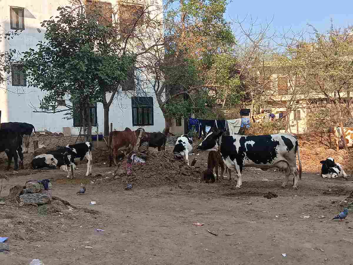 Delhi: Unchecked growth puts Lal Dora villages at risk