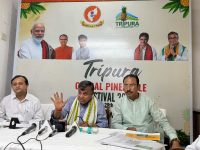 Tripura to host Global Pineapple Festival in Delhi