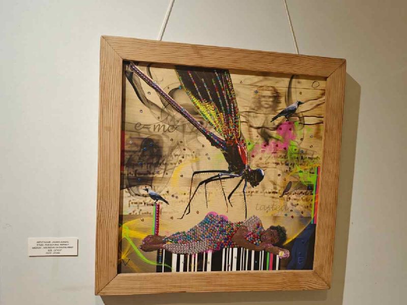 Nature becomes a metaphor for freedom, belonging and transformation
