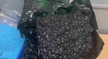 Passenger arrested with 19.5 kg of hydroponic weed at Delhi airport