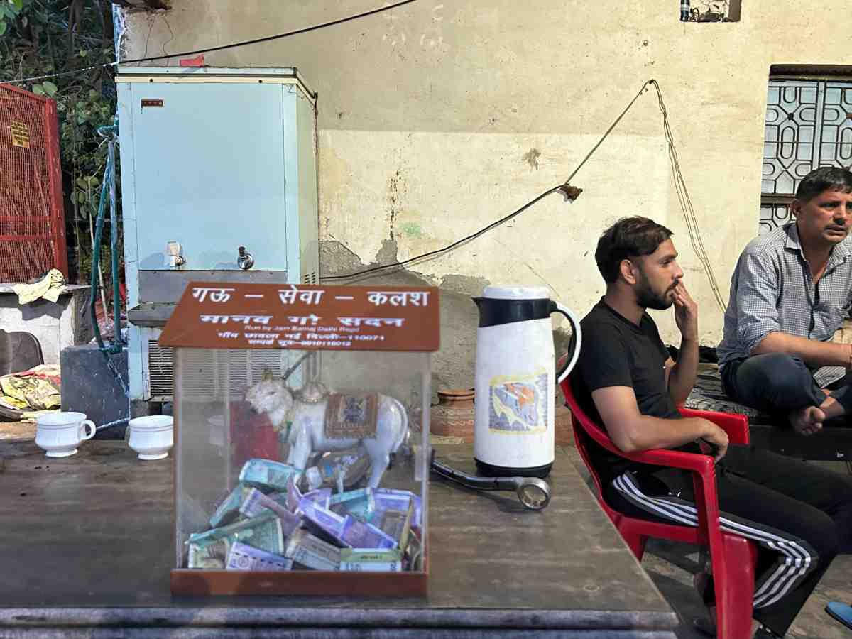 A donation box at the gaushala reflects its reliance on public contributions