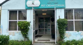 Delhi’s first MCD-run pet crematorium helps families give a dignified farewell
