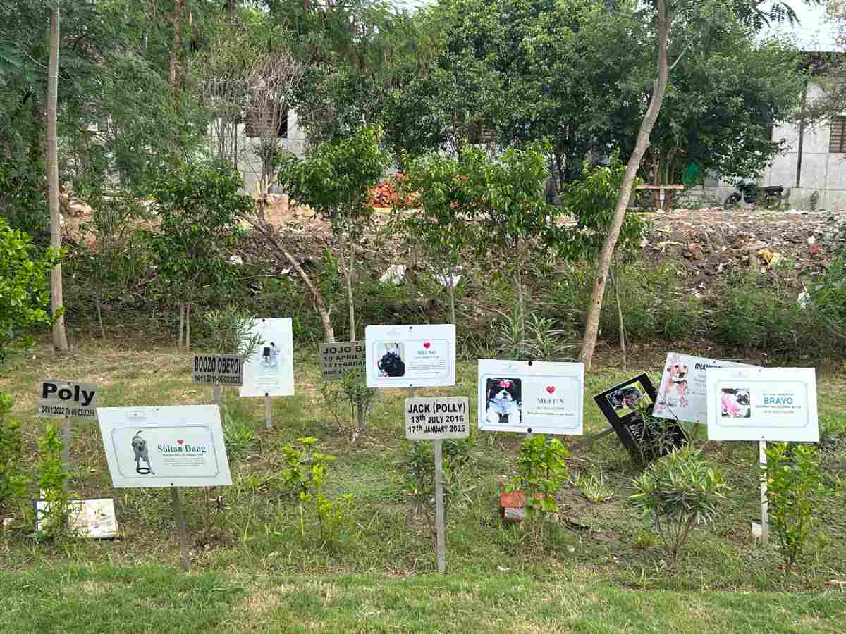 Rows of memorial plaques mark the final resting place of pets in the memorial garden