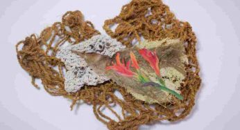 KNMA opens two exhibitions exploring abstraction, ecology
