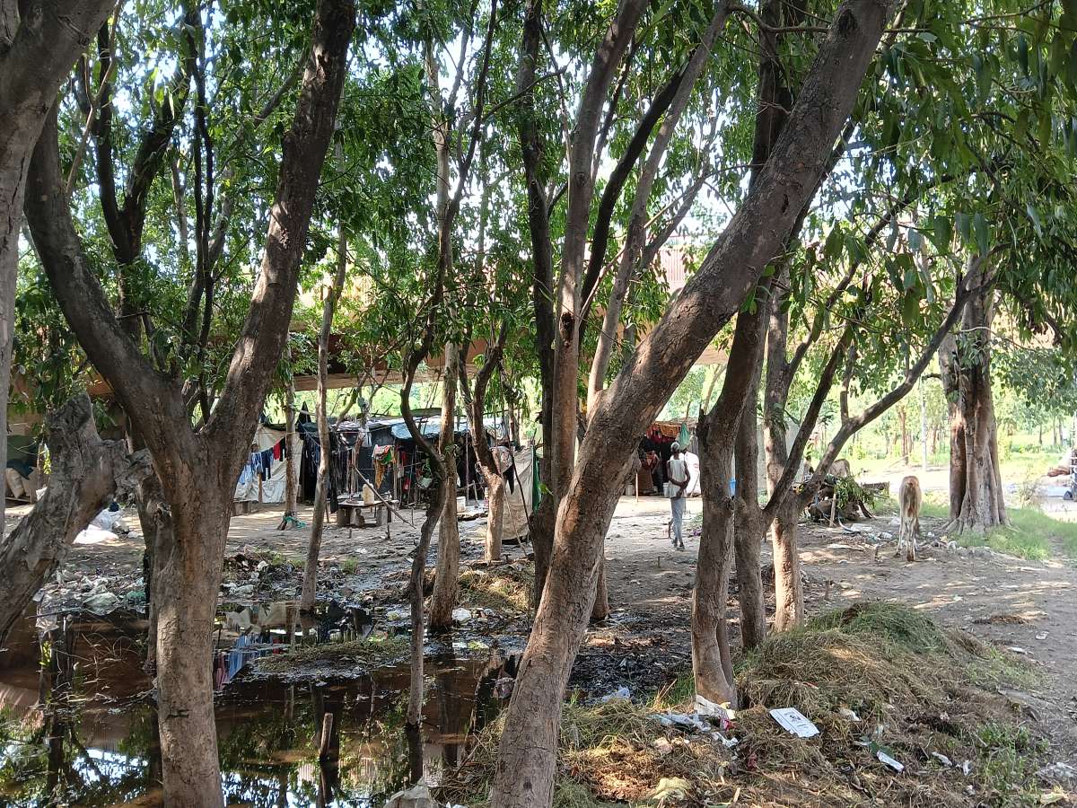 Makeshift marshland at Moolchand Basti, one of the villages comprising Bella Estate