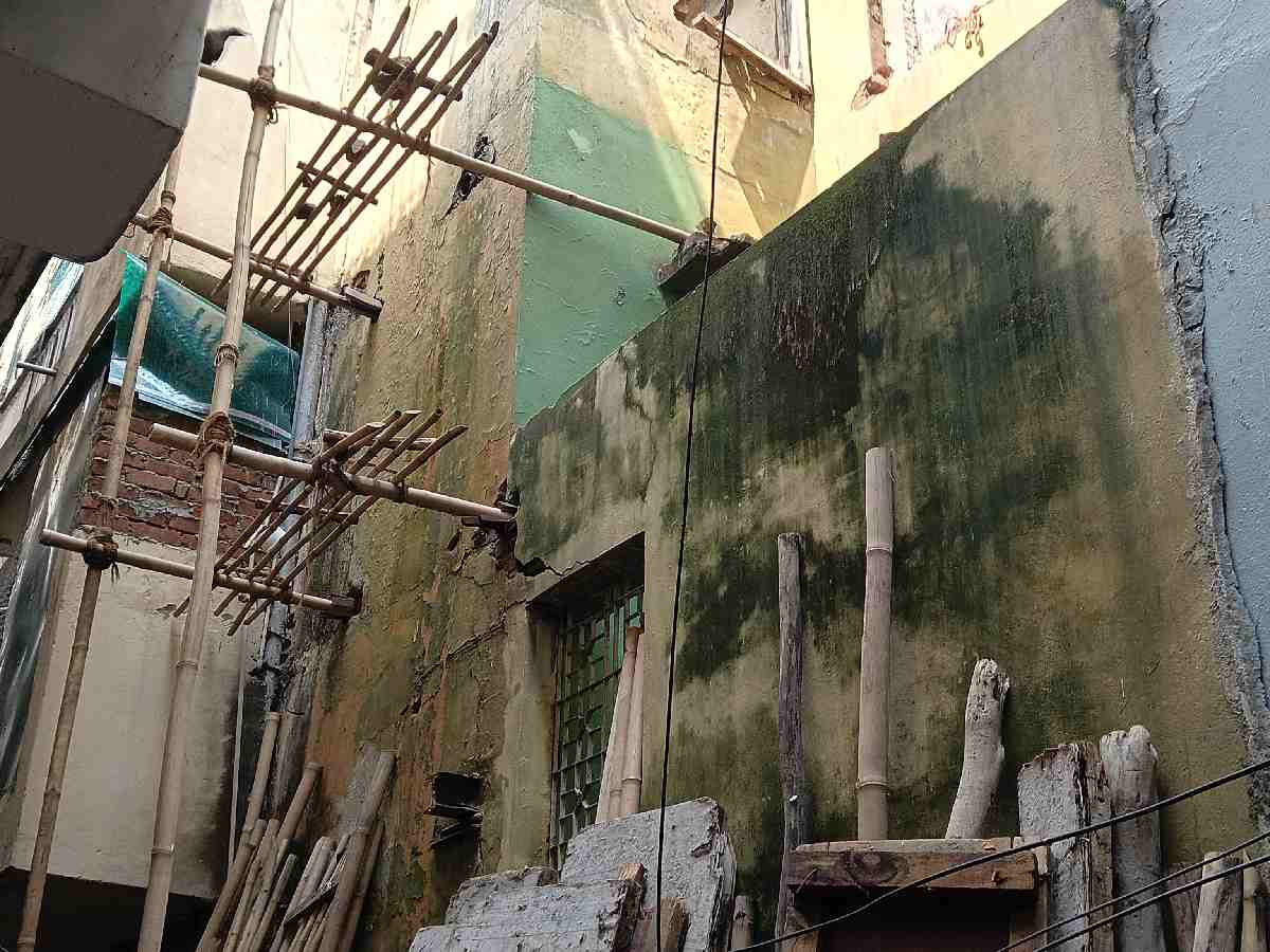 Moss ridden back alleys of Satya Niketan