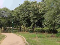 Swaroop Nagar to Astha Kunj: Delhi’s dark spots under scrutiny