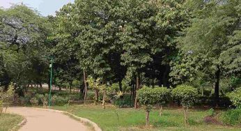 Swaroop Nagar to Astha Kunj: Delhi’s dark spots under scrutiny