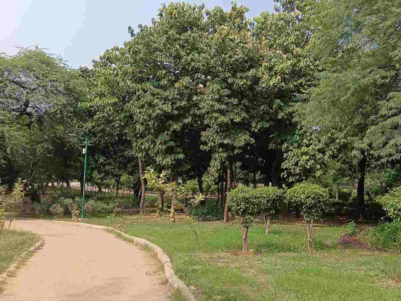 Swaroop Nagar to Astha Kunj: Delhi’s dark spots under scrutiny