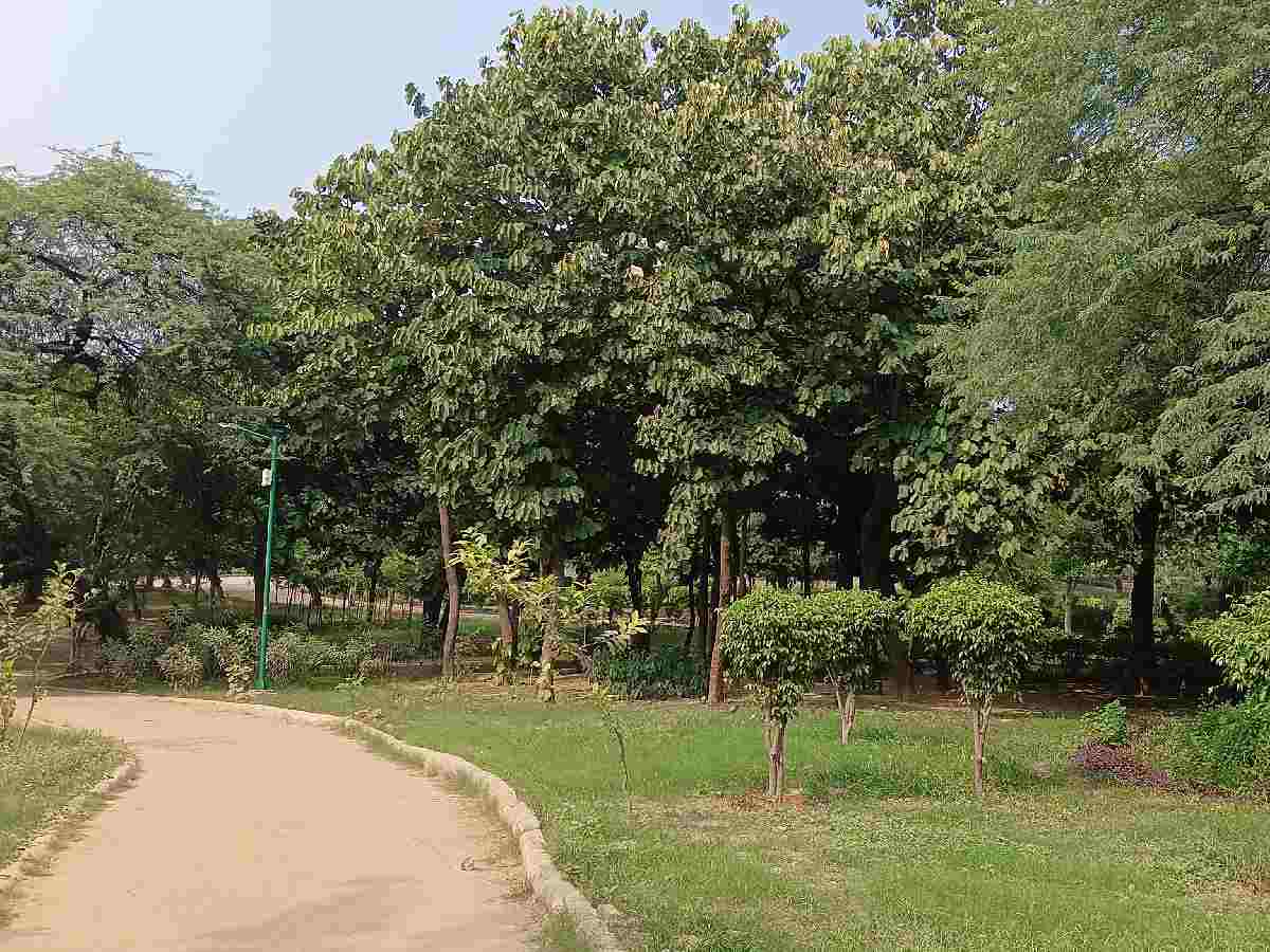 Much of Astha Kunj is filled with open spaces