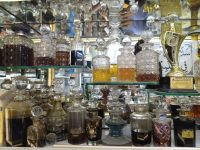 From base notes to traditional attars, 5 places in Delhi that offer an olfactory retreat