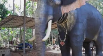Delhi forest department suggests ‘robotic’ elephants at festivals; PETA welcomes move