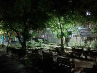 Sanjay Lake, Bonta, Hauz Khas: the DDA parks where safety lags