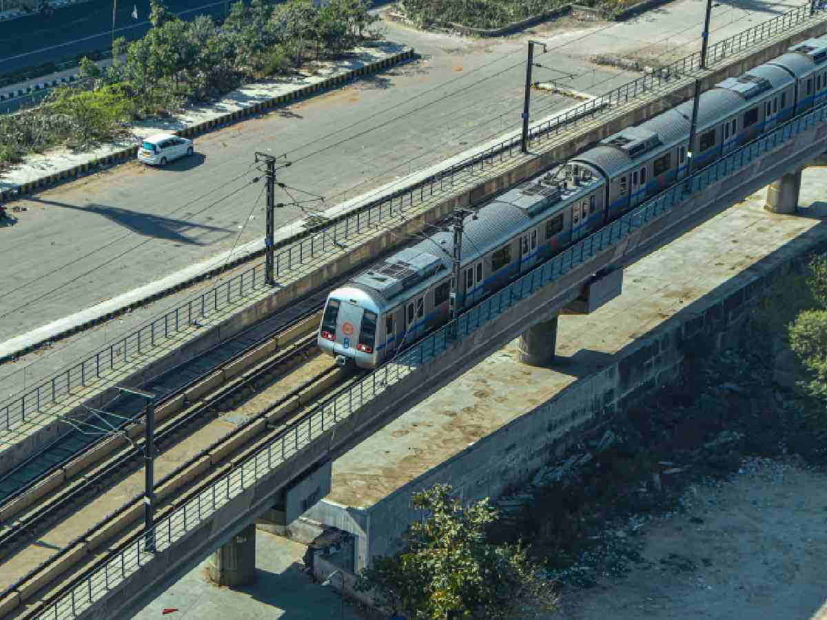 Delhi Metro to plant over 28,000 trees, saplings across 991 locations