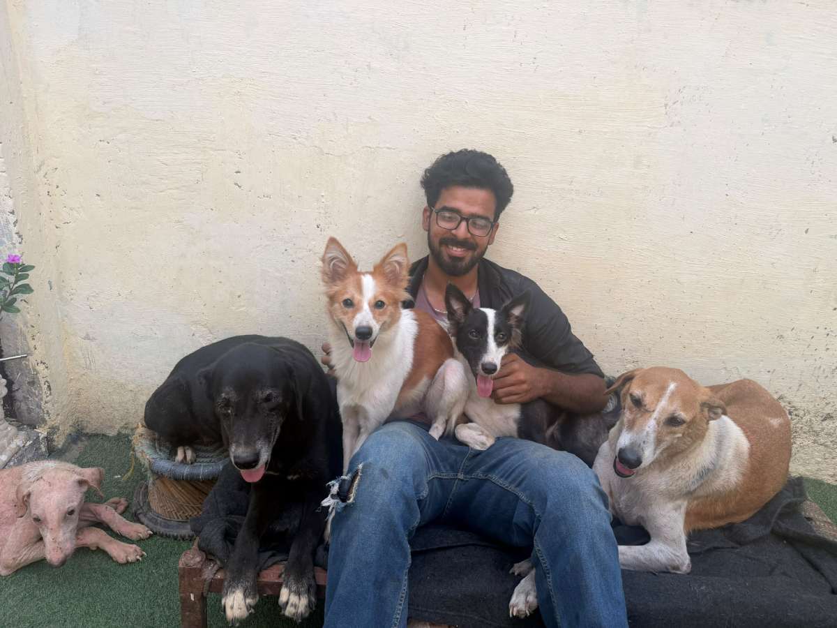 Health warnings force Delhi-NCR pet owners to rethink costumes