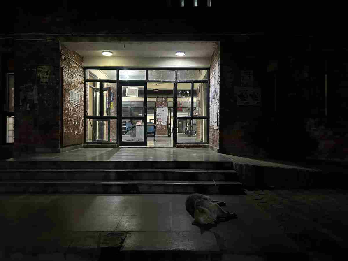 A stray dog rests outside a hostel building