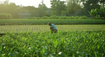 Delhi govt mulls hike in agricultural land circle rates, proposals up to Rs 5 crore per acre