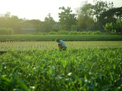 Delhi govt mulls hike in agricultural land circle rates, proposals up to Rs 5 crore per acre
