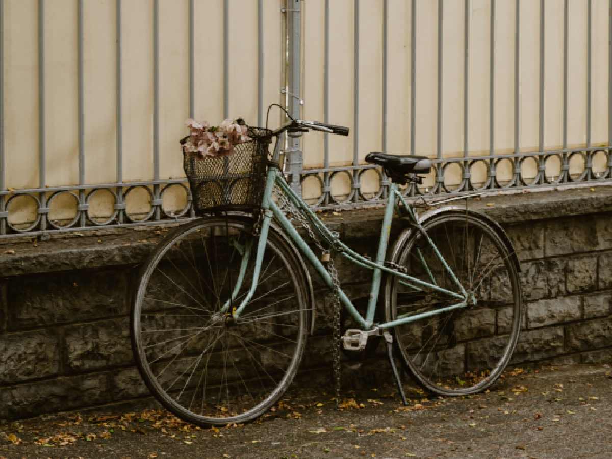 Delhi CM distributes bicycles to 1,400 girl students under Vidya Vahini scheme