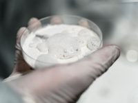 Couple among 3 held for supplying heroin through minor in north Delhi