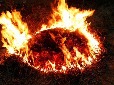 Delhi: Control room launched to monitor construction sites, open burning
