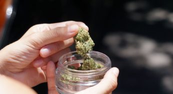 Marijuana worth Rs 71.5 lakh seized at Delhi Airport, Indian passenger arrested